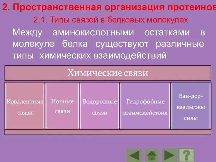 2. Пространственная организация протеинов 2.1. Типы связей в белковых молекулах Между аминокислотными