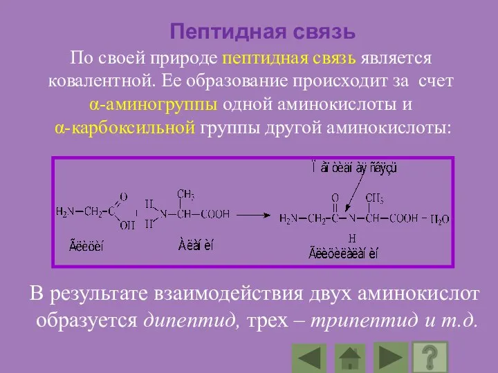 По своей природе пептидная связь является ковалентной. Ее образование происходит за счет