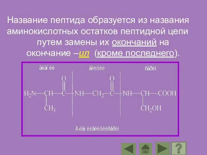 Название пептида образуется из названия аминокислотных остатков пептидной цепи путем замены их