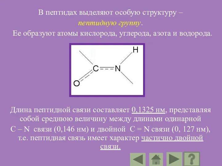 В пептидах выделяют особую структуру – пептидную группу. Ее образуют атомы кислорода,