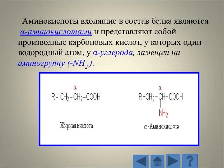 Аминокислоты входящие в состав белка являются α-аминокислотами и представляют собой производные карбоновых