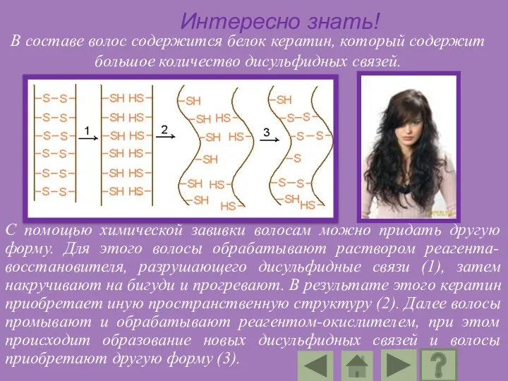 Интересно знать! С помощью химической завивки волосам можно придать другую форму. Для