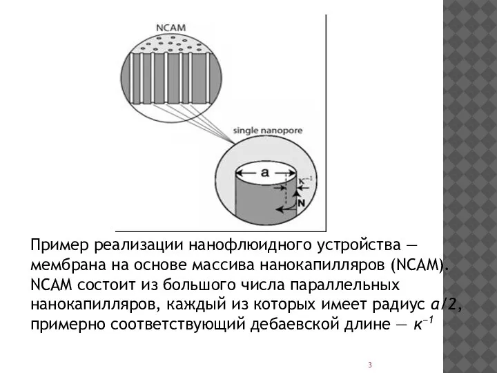 Пример реализации нанофлюидного устройства — мембрана на основе массива нанокапилляров (NCAM). NCAM