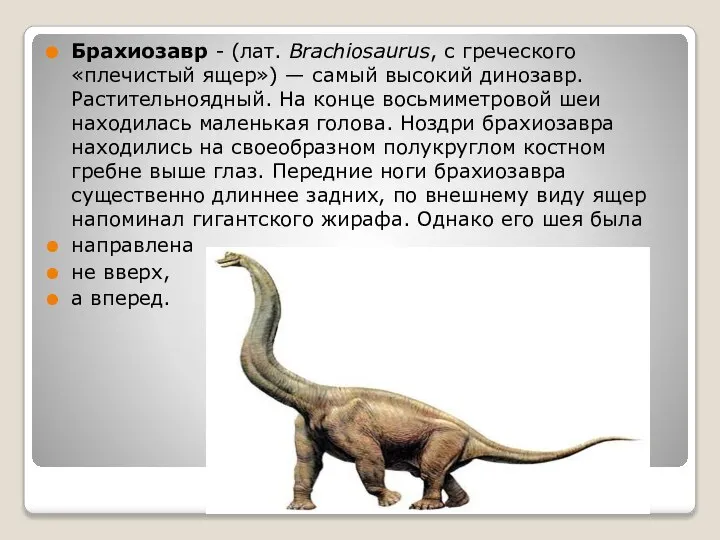 Брахиозавр - (лат. Brachiosaurus, с греческого «плечистый ящер») — самый высокий динозавр.