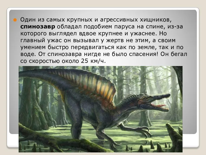 Один из самых крупных и агрессивных хищников, спинозавр обладал подобием паруса на
