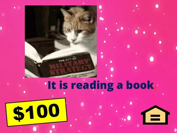 It is reading a book. $100
