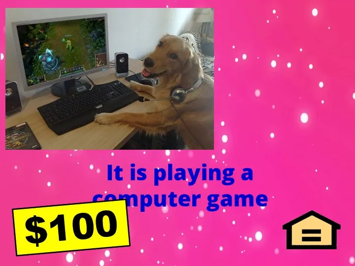 It is playing a computer game $100
