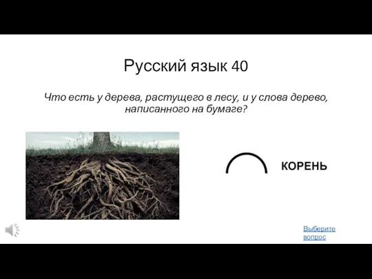 Русский язык 40 Что есть у дерева, растущего в лесу, и у