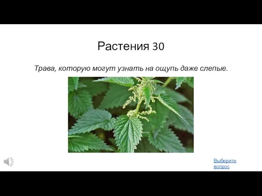 Растения 30 Трава, которую могут узнать на ощупь даже слепые. Выберите вопрос