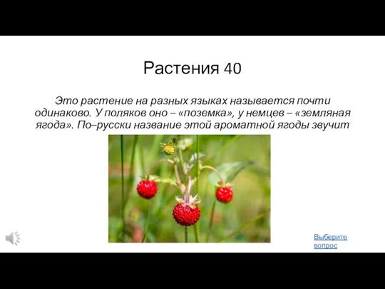 Растения 40 Это растение на разных языках называется почти одинаково. У поляков