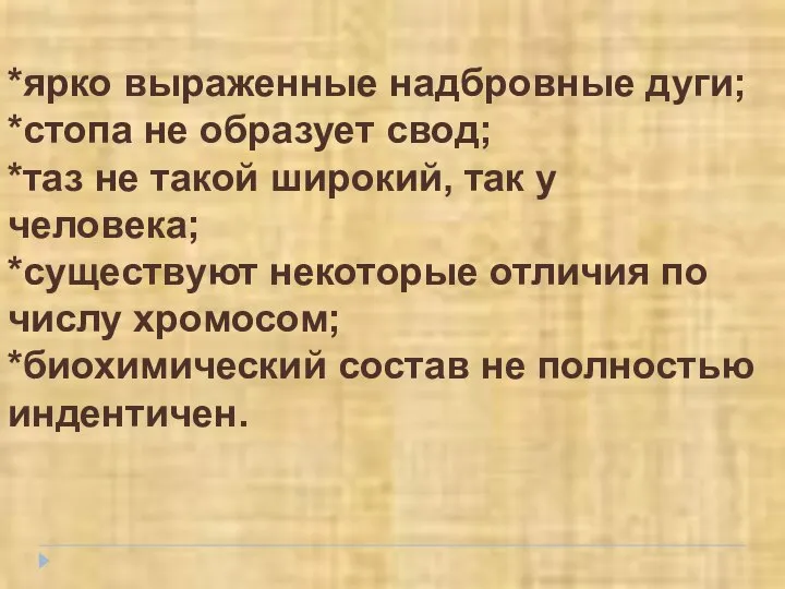 *ярко выраженные надбровные дуги; *стопа не образует свод; *таз не такой широкий,