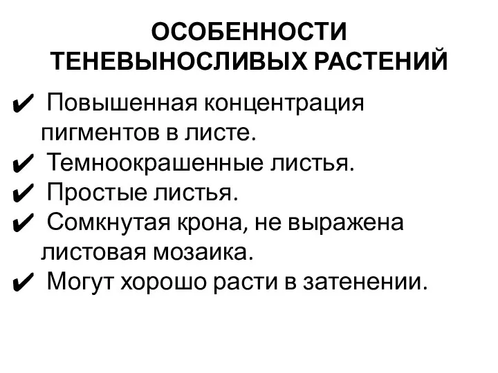 ОСОБЕННОСТИ ТЕНЕВЫНОСЛИВЫХ РАСТЕНИЙ Повышенная концентрация пигментов в листе. Темноокрашенные листья. Простые листья.