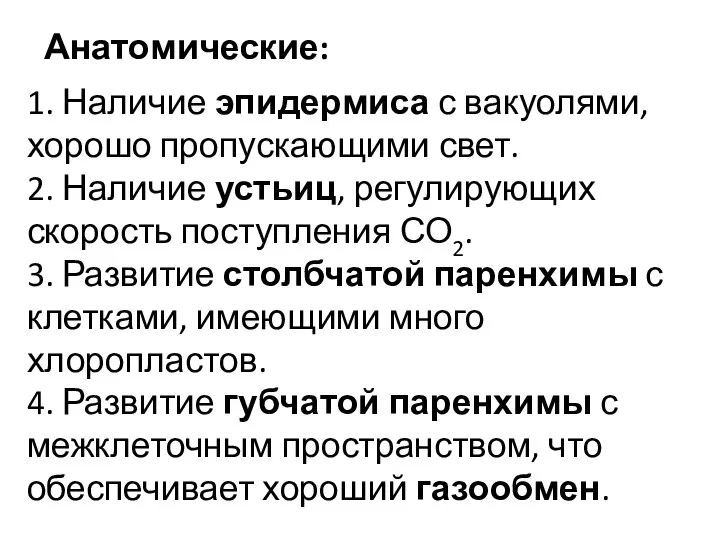 Анатомические: 1. Наличие эпидермиса с вакуолями, хорошо пропускающими свет. 2. Наличие устьиц,