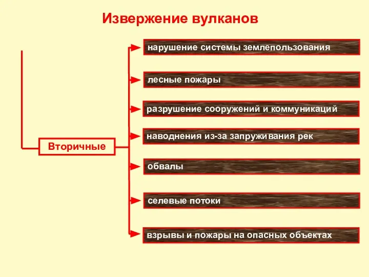 нарушение системы землепользования лесные пожары разрушение сооружений и коммуникаций наводнения из-за запруживания