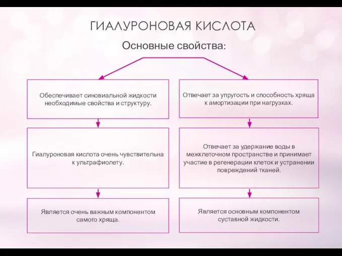 Отвечает за удержание воды в межклеточном пространстве и принимает участие в регенерации