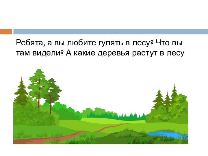 Ребята, а вы любите гулять в лесу? Что вы там видели? А