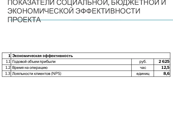 ПОКАЗАТЕЛИ СОЦИАЛЬНОЙ, БЮДЖЕТНОЙ И ЭКОНОМИЧЕСКОЙ ЭФФЕКТИВНОСТИ ПРОЕКТА