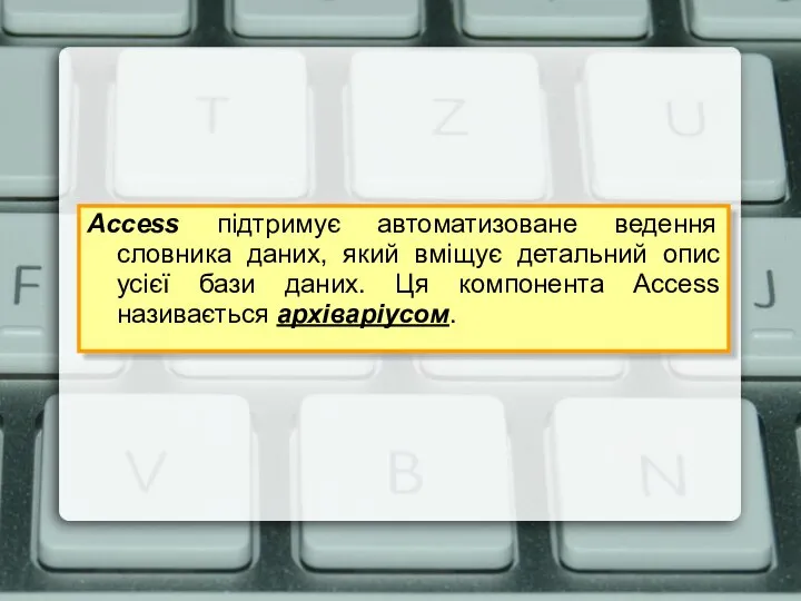 Access підтримує автоматизоване ведення словника даних, який вміщує детальний опис усієї бази