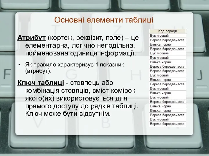 Основні елементи таблиці Атрибут (кортеж, реквізит, поле) – це елементарна, логічно неподільна,