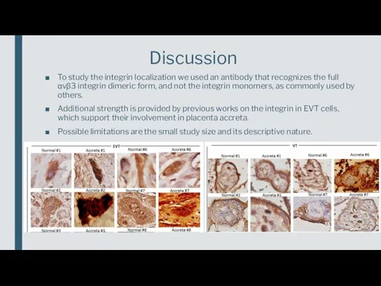 To study the integrin localization we used an antibody that recognizes the