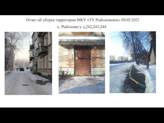 Отчет об уборке территории МКУ «ТУ Рыболовское» 09.02.2021 с. Рыболово у д.242,243,244