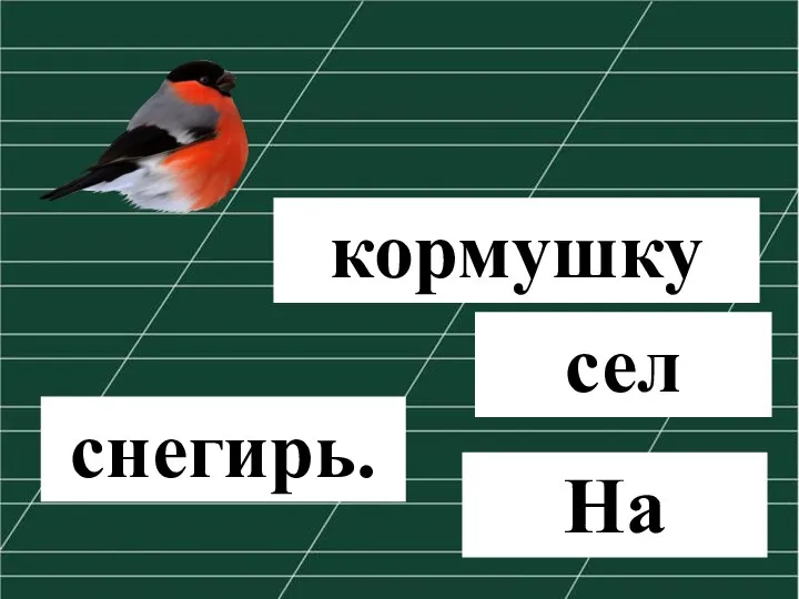 кормушку На сел снегирь.