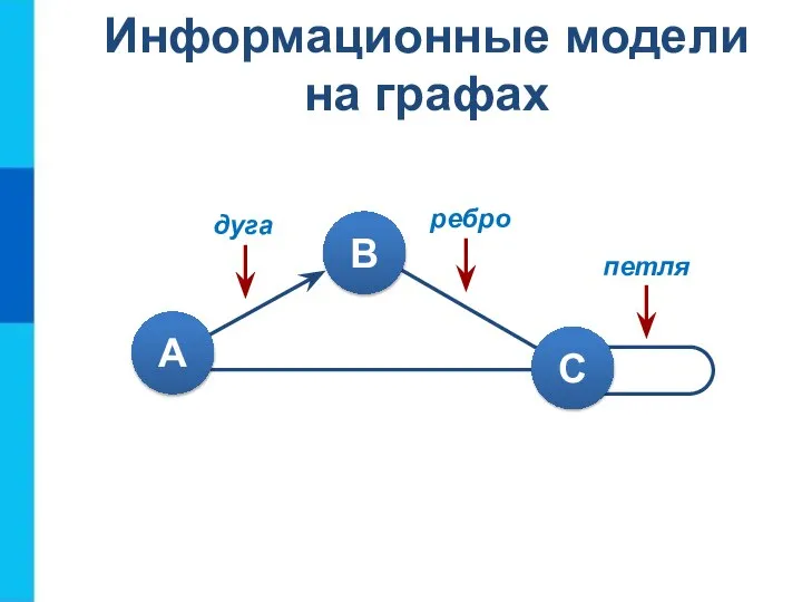 Информационные модели на графах петля ребро дуга