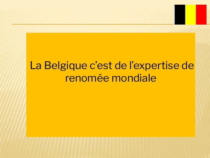 La Belgique c’est de l’expertise de renomée mondiale