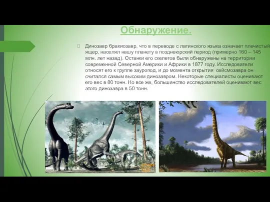 Обнаружение. Динозавр брахиозавр, что в переводе с латинского языка означает плечистый ящер,