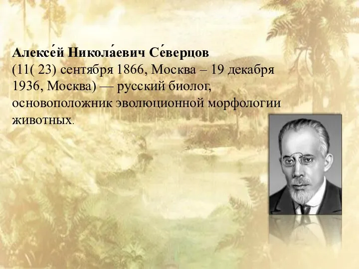 Алексе́й Никола́евич Се́верцов (11( 23) сентября 1866, Москва – 19 декабря 1936,