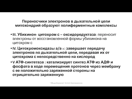 Переносчики электронов в дыхательной цепи митохондрий образуют полиферментные комплексы III. Убихинон- цитохром