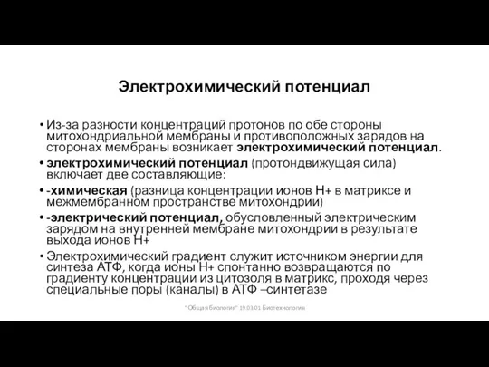 Электрохимический потенциал Из-за разности концентраций протонов по обе стороны митохондриальной мембраны и