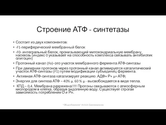 Строение АТФ - синтетазы Состоит из двух компонентов: -F1-периферический мембранный белок -F0-