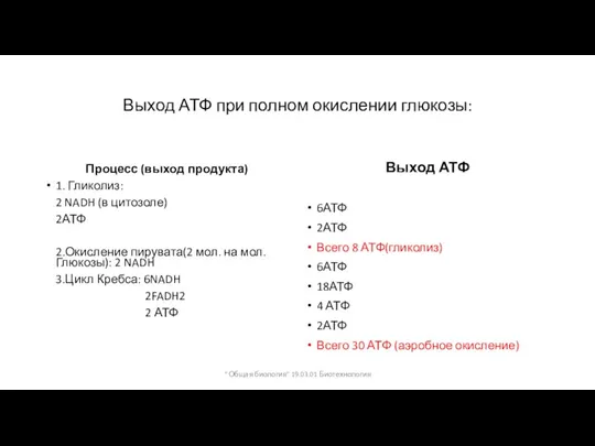 Выход АТФ при полном окислении глюкозы: Процесс (выход продукта) 1. Гликолиз: 2