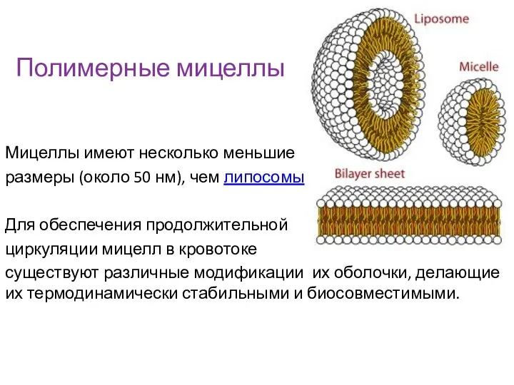 Полимерные мицеллы Мицеллы имеют несколько меньшие размеры (около 50 нм), чем липосомы.