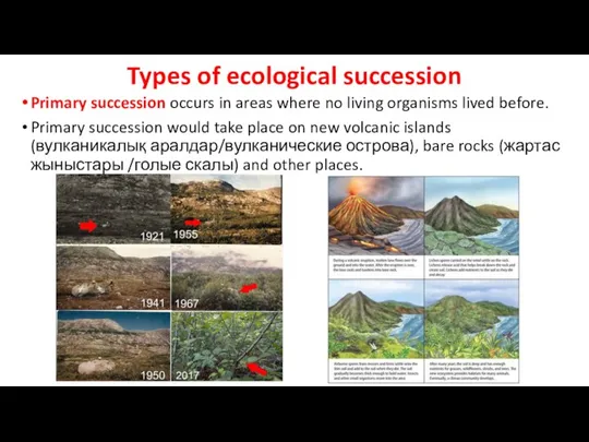 Types of ecological succession Primary succession occurs in areas where no living