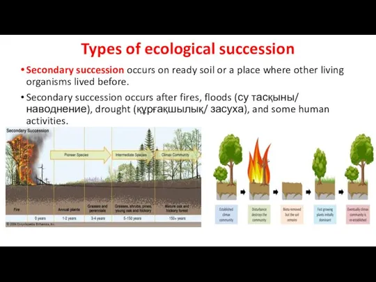 Types of ecological succession Secondary succession occurs on ready soil or a