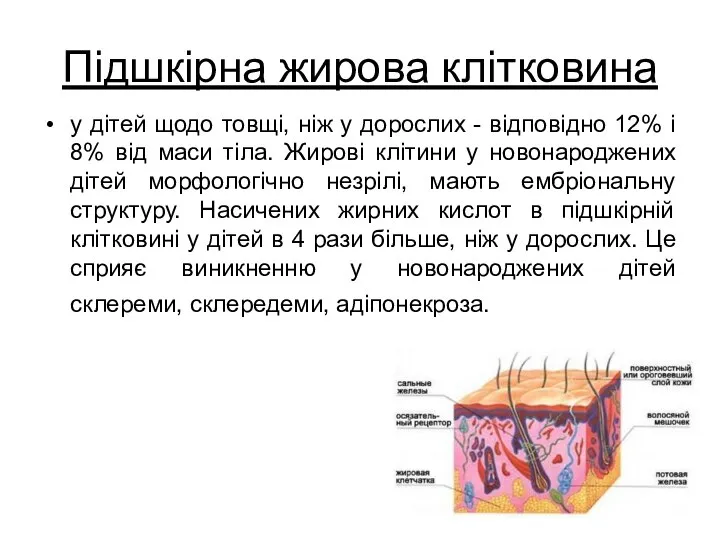 Підшкірна жирова клітковина у дітей щодо товщі, ніж у дорослих - відповідно