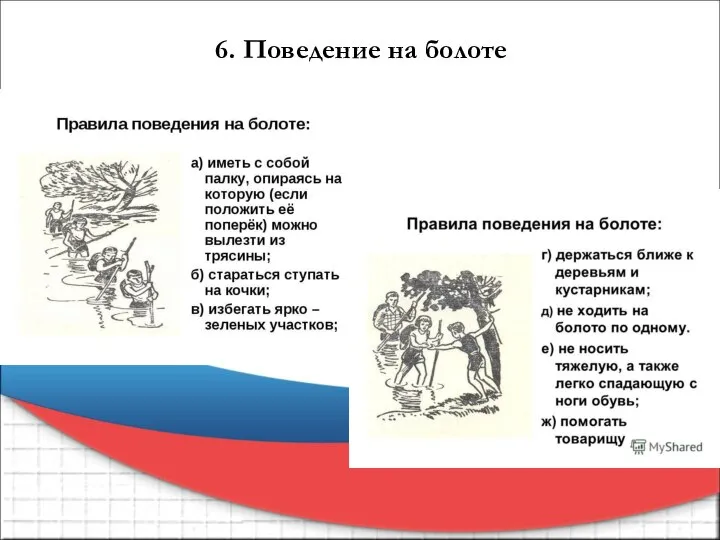 6. Поведение на болоте