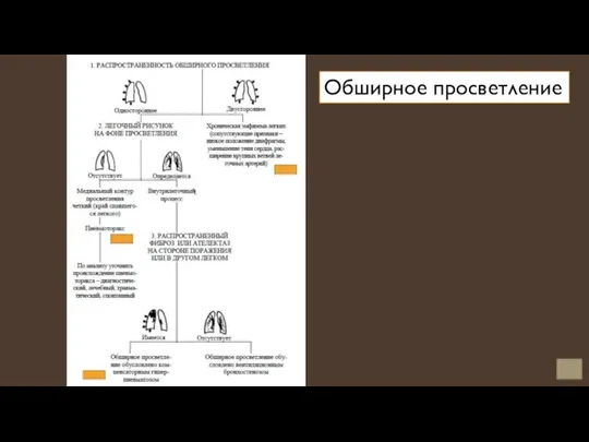 Обширное просветление