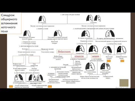 Синдром обширного затемнения легочного поля ателектаз цирроз Фиброторакс