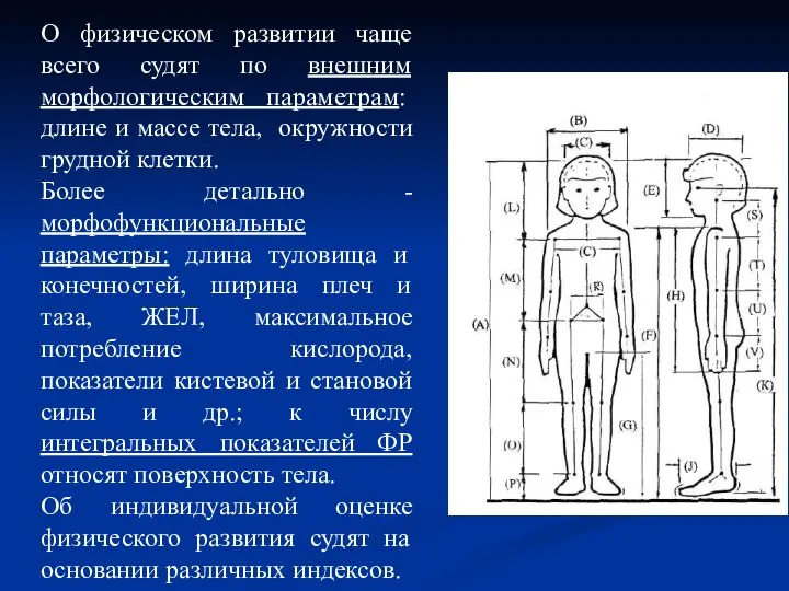 О физическом развитии чаще всего судят по внешним морфологическим параметрам: длине и