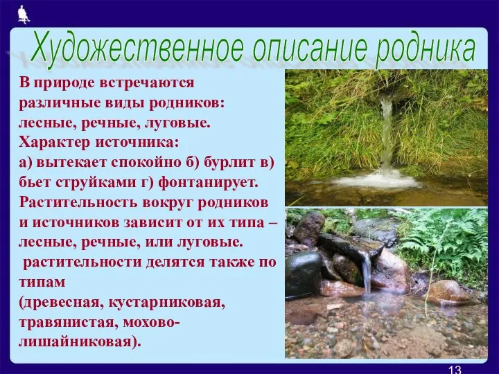 В природе встречаются различные виды родников: лесные, речные, луговые. Характер источника: а)