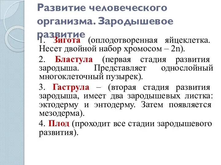 Развитие человеческого организма. Зародышевое развитие 1. Зигота (оплодотворенная яйцеклетка. Несет двойной набор