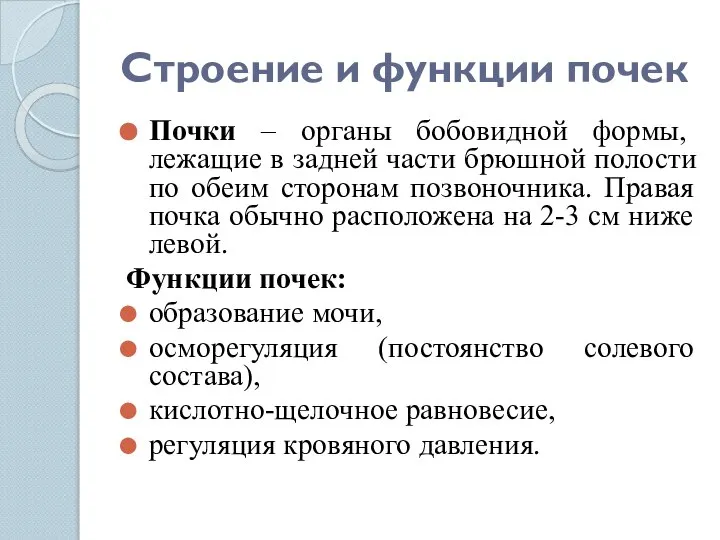 Строение и функции почек Почки – органы бобовидной формы, лежащие в задней