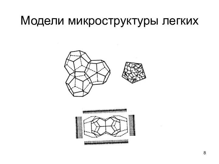 Модели микроструктуры легких