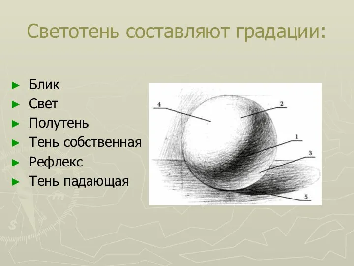 Светотень составляют градации: Блик Свет Полутень Тень собственная Рефлекс Тень падающая