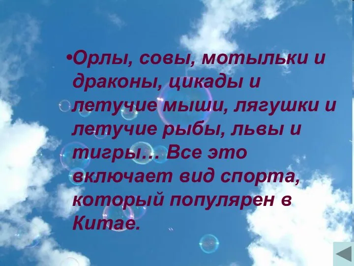 Орлы, совы, мотыльки и драконы, цикады и летучие мыши, лягушки и летучие