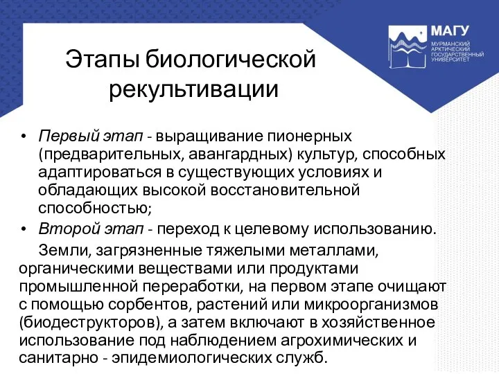 Этапы биологической рекультивации Первый этап - выращивание пионерных (предварительных, авангардных) культур, способных