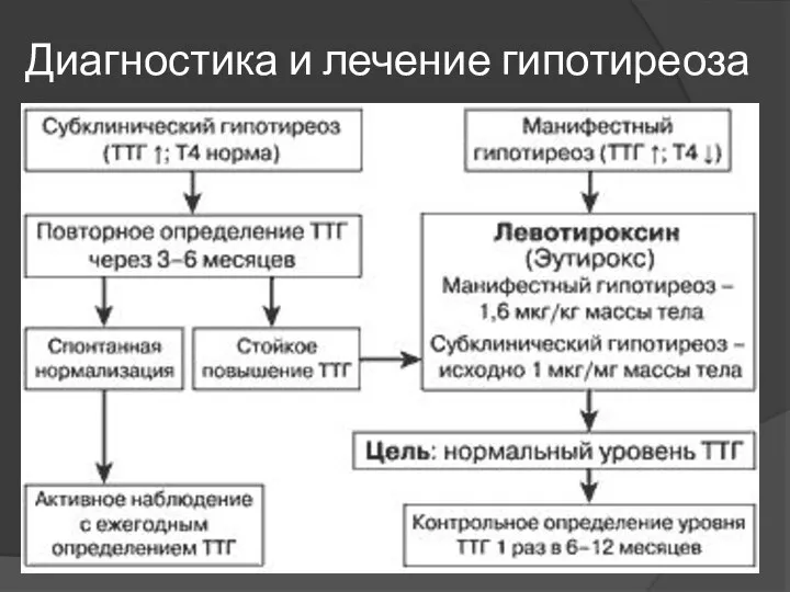 Диагностика и лечение гипотиреоза